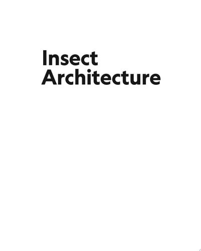 Insect Architecture