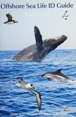 Offshore Sea Life ID Guide