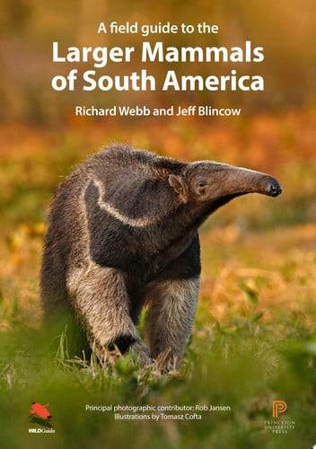 A          Field Guide to the Larger Mammals of South America