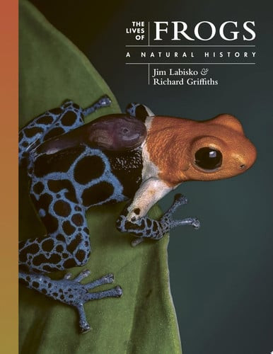 The Lives of Frogs