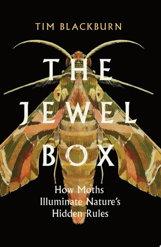 The Jewel Box