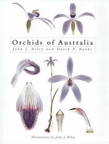 Orchids of Australia