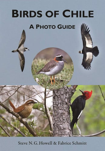 Birds of Chile | | 9780691167398
