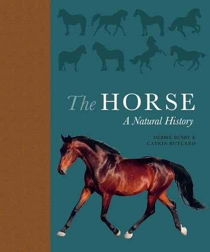 The Horse