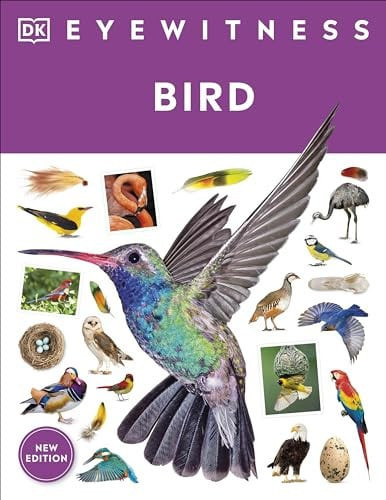 Eyewitness Bird