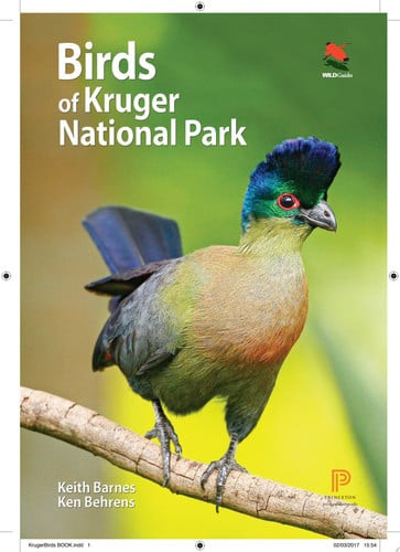 Birds of Kruger National Park