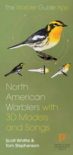 North American Warbler Fold-Out Guide
