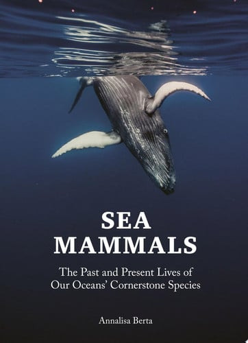 Sea Mammals