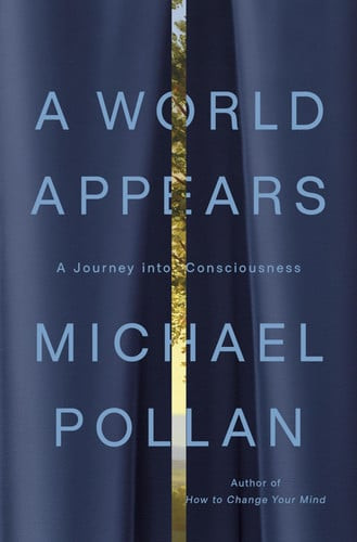 A World Appears