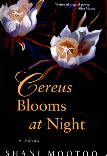 Cereus Blooms at Night
