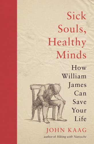 Sick Souls, Healthy Minds | | 9780691192161