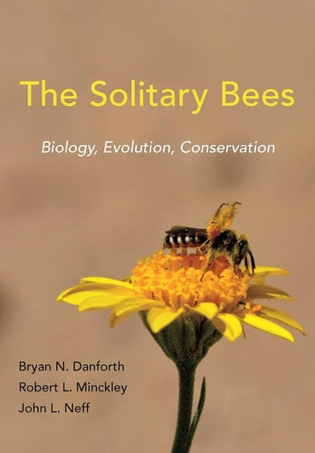The Solitary Bees