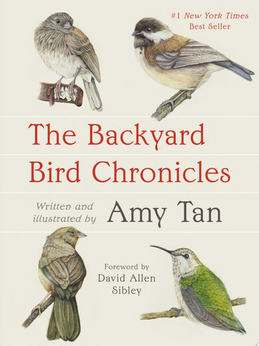 The Backyard Bird Chronicles