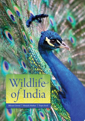 Wildlife of India