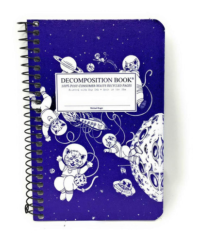 Kittens in Space Pocket Decomposition Book