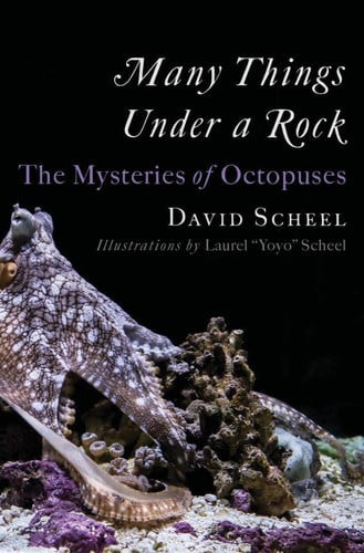 Many Things under a Rock | | 9781324020691
