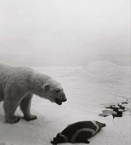 Dioramas