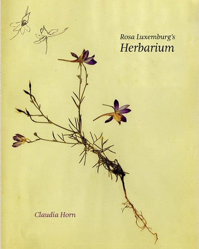 Rosa Luxemburg's Herbarium&nbsp;