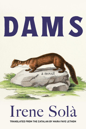 Dams | | 9781644454237