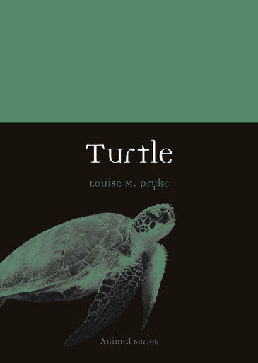Turtle - Labyrinth Books