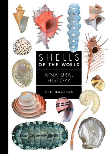 Shells of the World - Labyrinth Books