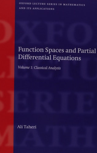 Function Spaces and Partial Differential Equations - Labyrinth Books