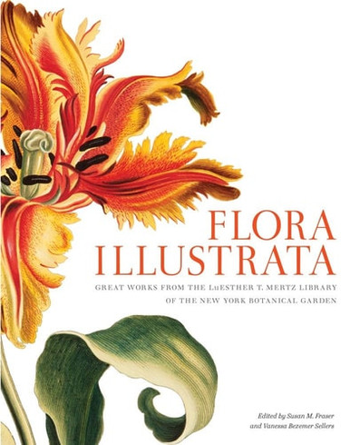 Flora Illustrata - Labyrinth Books