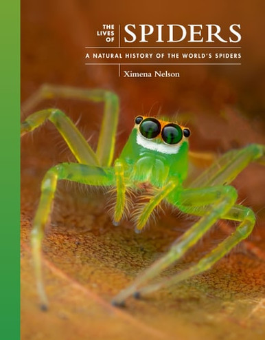 The Lives of Spiders - Labyrinth Books