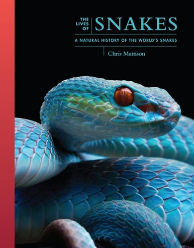 The Lives of Snakes - Labyrinth Books