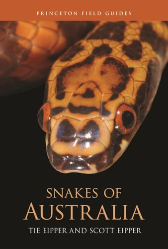Snakes of Australia - Labyrinth Books