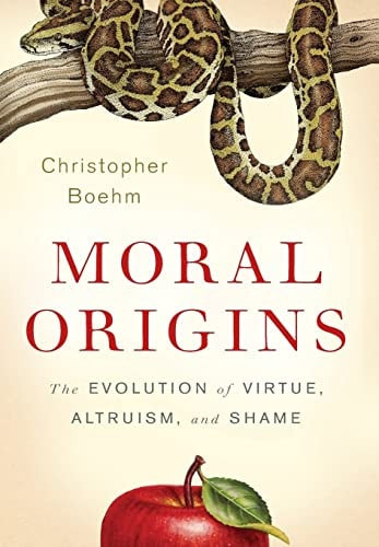 Moral Origins - Labyrinth Books