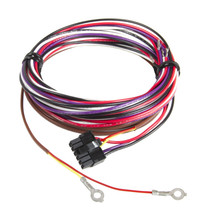 AutoMeter P19340 - WIRE HARNESS, EGT (PYROMETER), SPEK-PRO, REPLACEMENT