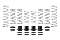 Eibach E85-209-003-03-22 - Pro-UTV 2016+ Polaris XP 4 Turbo EPS Stage 3 Performance Springs