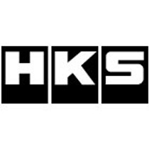 HKS 1499-RA036 - WG Inlet Flange Adapter