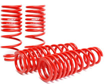 Skunk2 519-05-1560 - 94-01 Acura Integra Lowering Springs (2.50in - 2.25in.) (Set of 4)