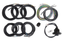 Holley 558-433 - Wiring Harness - EFI Digital Dash I/O Adapter
