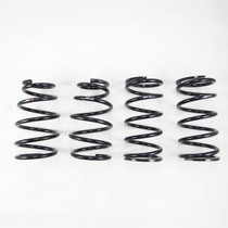 RS-R T381D - 2018-2022 Toyota CH-R Down Sus Springs
