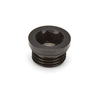 Waterman Racing WRC-45329 - Fitting Plug ORB -6an Steel