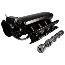 Racing Head Service (RHS) 10902N1 - Stage 1 No Springs Required Induction Package for N/A GM LS1/Cathedral Port