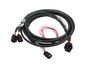 Holley EFI 558-450 - Drive-By-Wire Harness