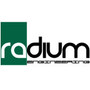 Radium Engineering 20-1220-03 - 10 Micron Stainless Check Valve Fuel Filter