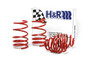 H&R 50424-88 - 92-98 BMW 325i/325is/328i/328is E36 Race Spring (After 6/22/92 & Non Cabrio)