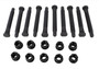 Ford Racing M-1107-F - GT350R Extended Wheel Stud & Nut Kit