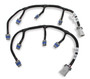 Holley 558-321 - GM LS Coil Sub Harnesses