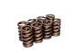 COMP Cams 981-8 - Valve Springs 1.250in Outer W/