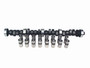 COMP Cams CL35-331-4 - Cam & Lifter Kit FW 305H