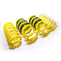 AST ASTLS-22-063 - Suspension 18-21 Jeep Cherokee Trackhawk Lowering Springs - 1.1 inch front / 1.75 inch rear drop