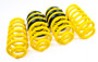 AST ASTLS-22-063 - Suspension 18-21 Jeep Cherokee Trackhawk Lowering Springs - 1.1 inch front / 1.75 inch rear drop