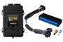 Haltech HT-151357 - Elite 2500 Adaptor Harness ECU Kit