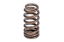 APR MS100092 - Valve Springs/Seats/Retainers - Set of 40